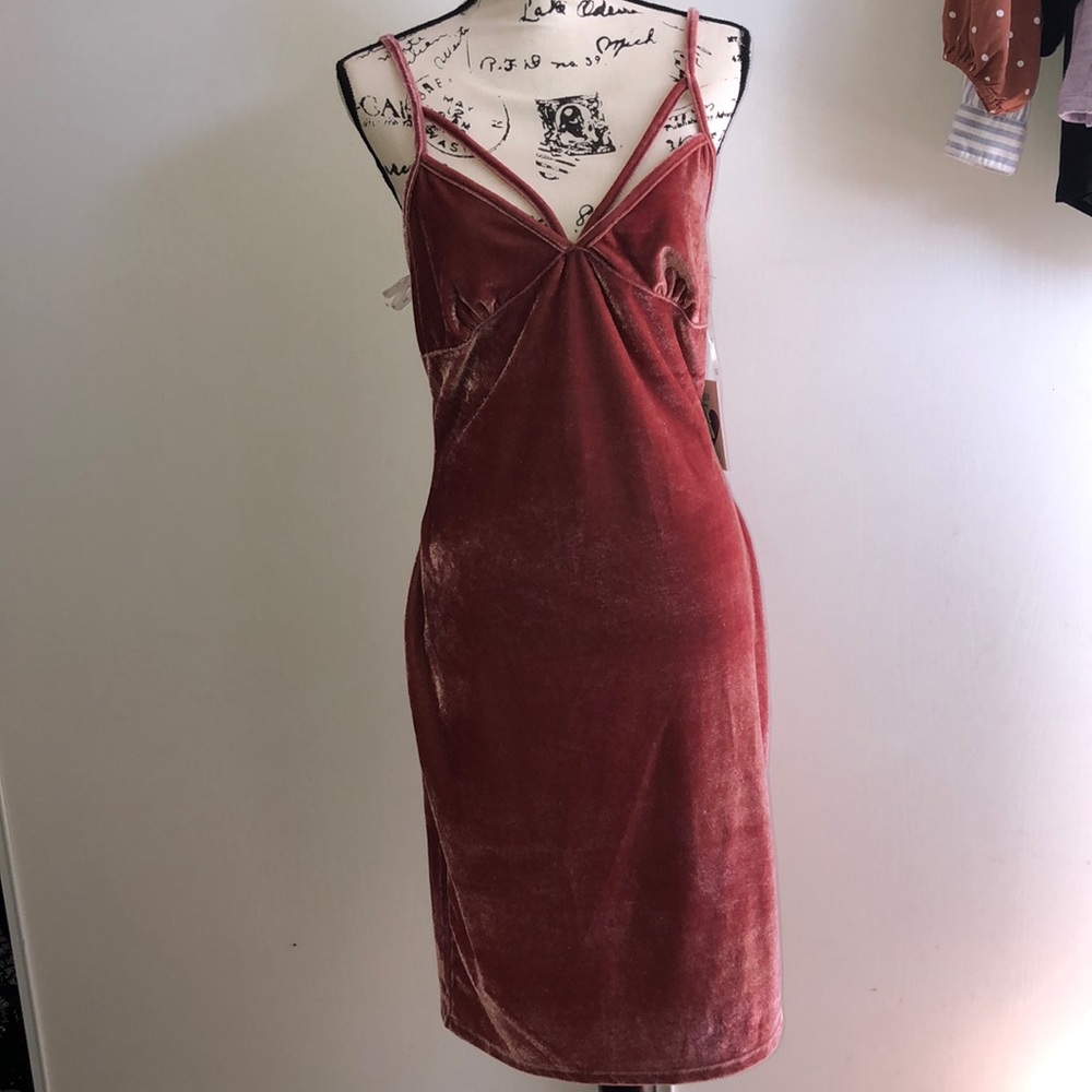Velvet pink dress.